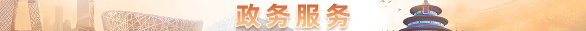 北京市政务服务