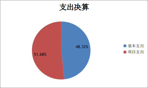 支出情况