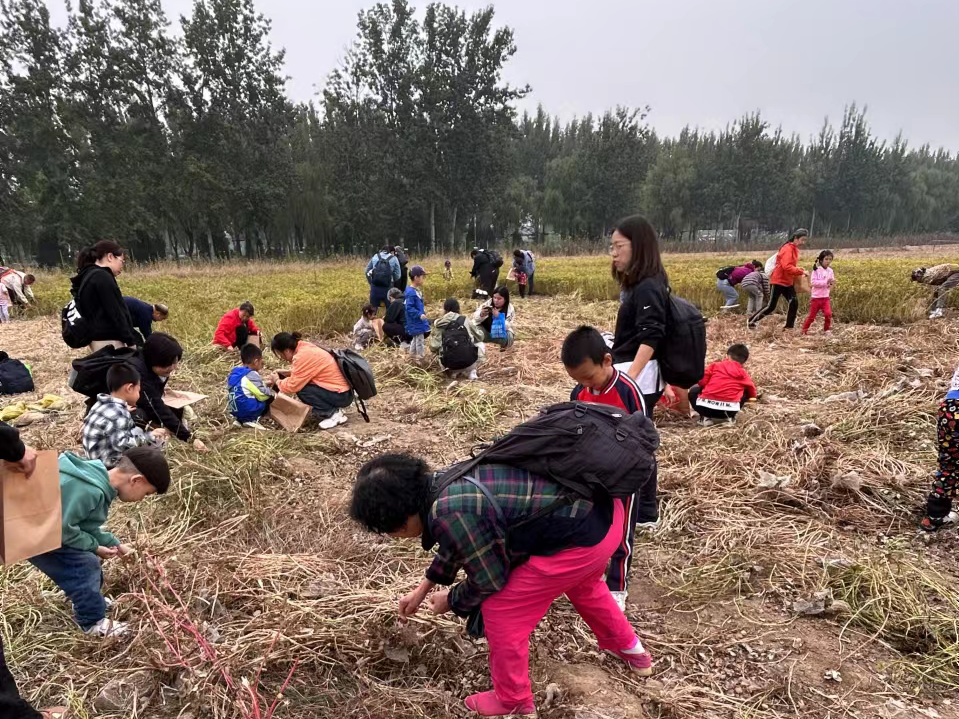 图为会议现场