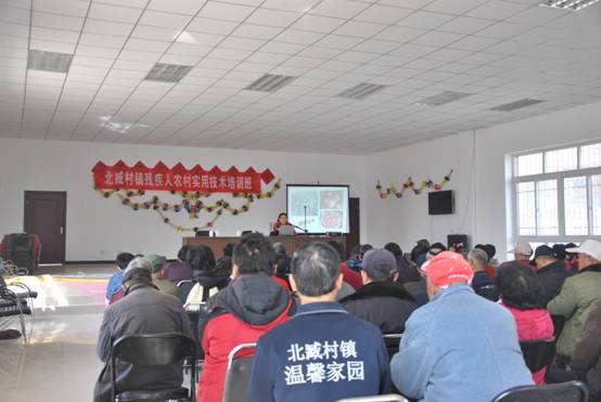 北京市残疾人联合会-大兴区北臧村镇残联举办残疾人农村实用技术培训