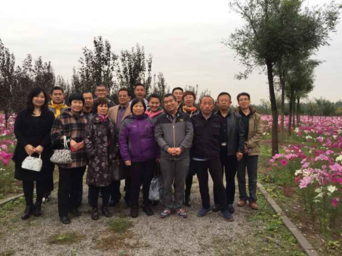 北京市残疾人联合会-大兴区残联专门协会第四季度活动