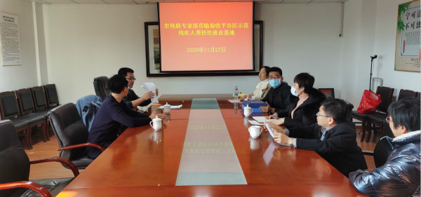 北京市残疾人联合会-市残联验收组到平谷区验收残疾人示范帮扶性就业基地