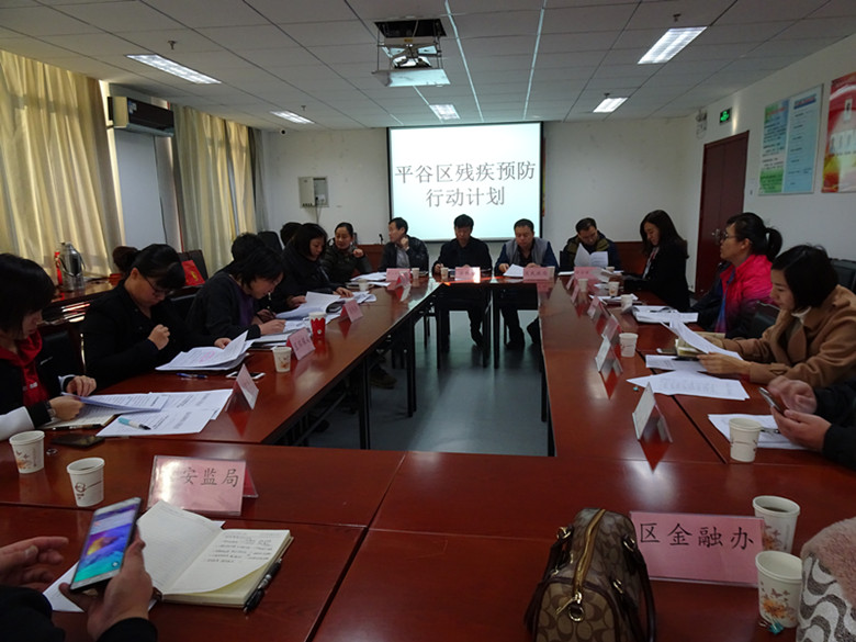 北京市残疾人联合会-平谷区残联召开残疾预防行动计划会议