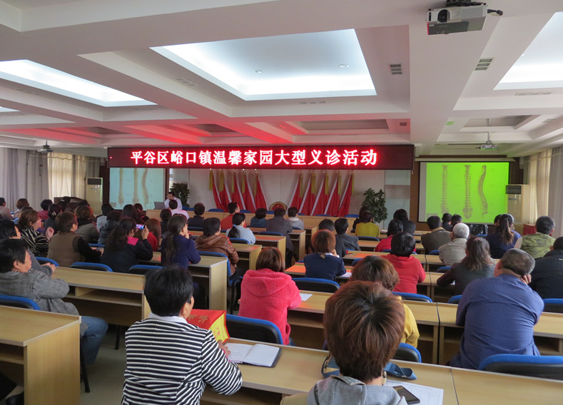 北京市残疾人联合会-平谷区峪口镇温馨家园举行大型义诊活动