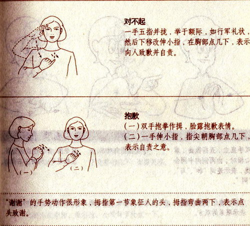 很好！谢谢！对不起！抱歉！