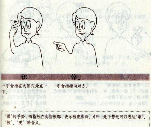 很高兴认识你。